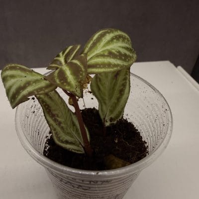 test5