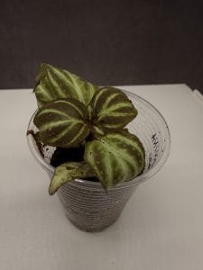 test4
